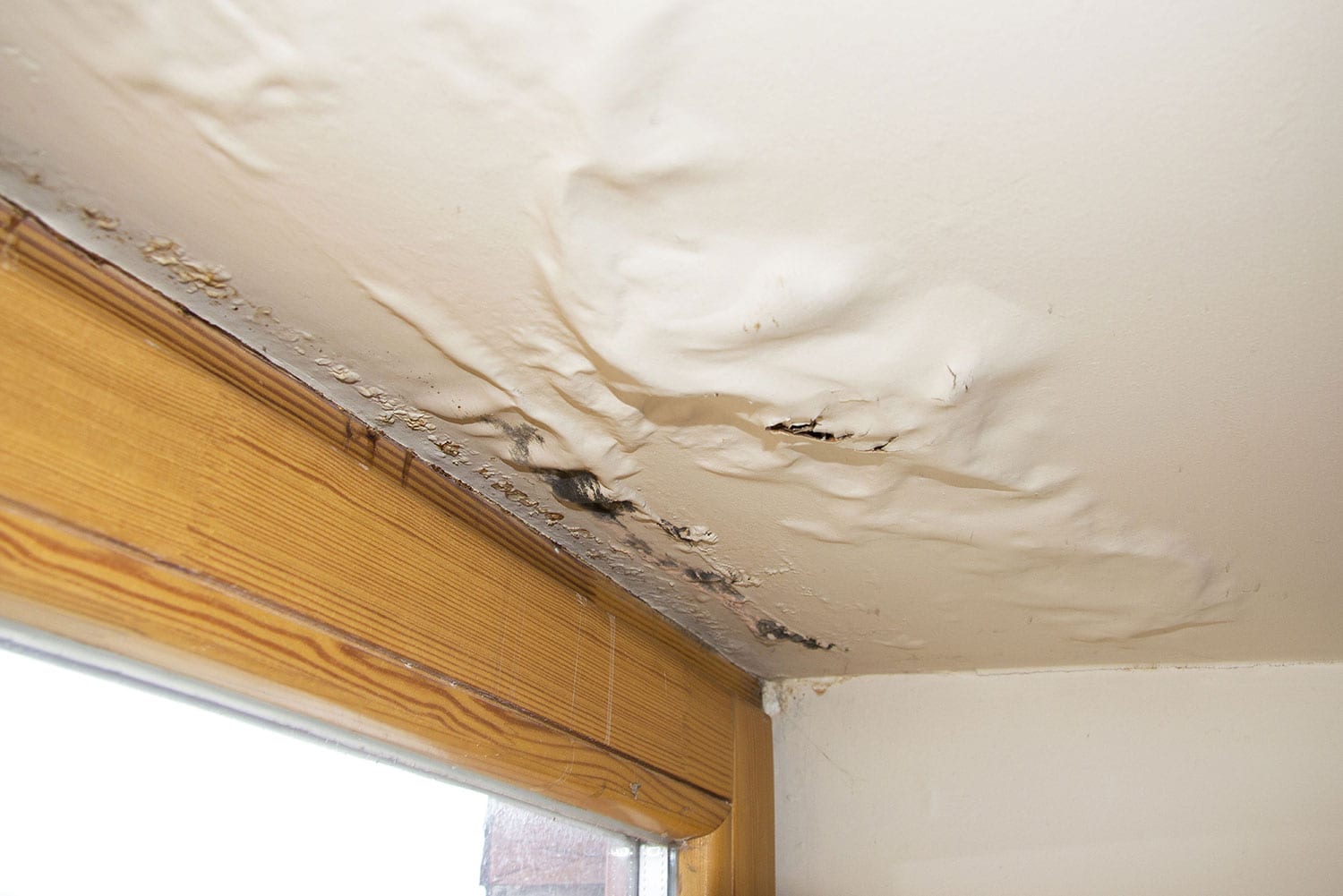 mold in ceiling