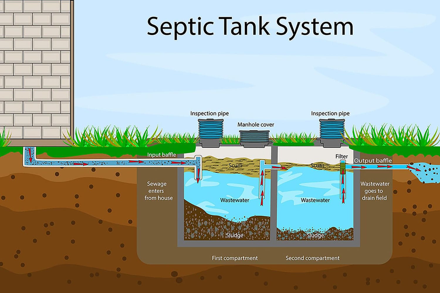 septic tank system graphic