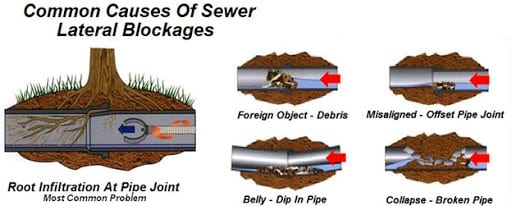 common causes of sewer lateral blockages